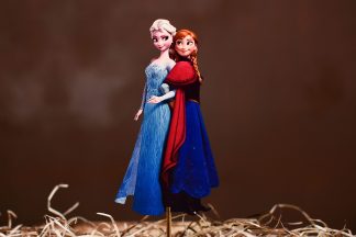 frozen zapich