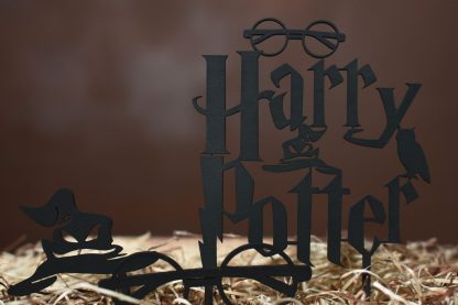 harry potter zapich