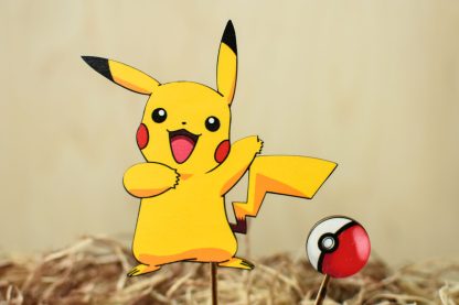 pokemon zápich
