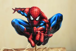 spiderman na tortu