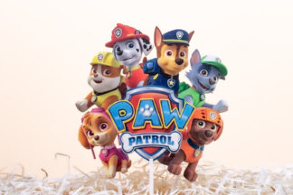 paw patrol na tortu