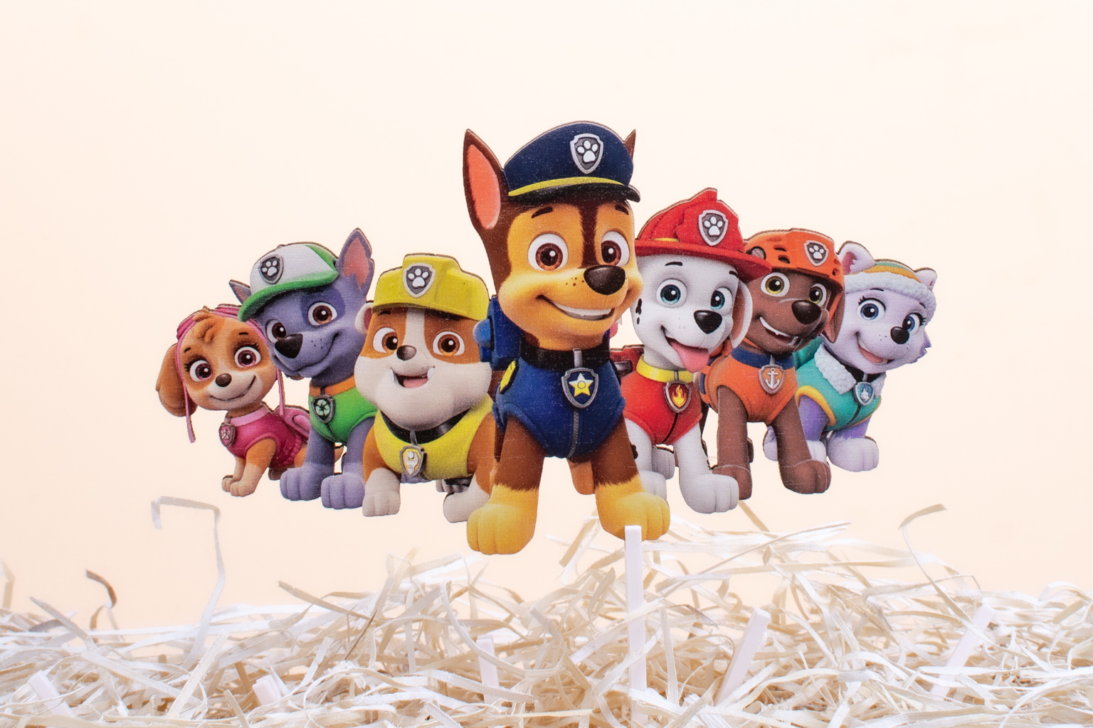 Labková patrola - Paw Patrol - L