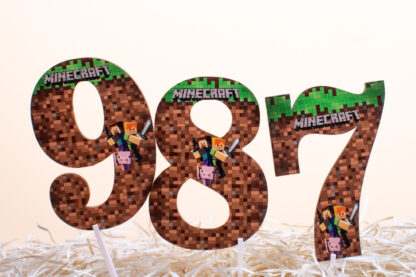 zapich minecraft cislo